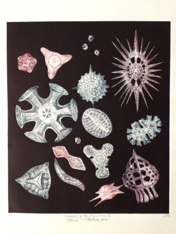 Treasures of the Deep 1