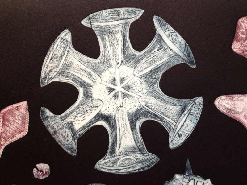 Treasures of the deep detail (3)