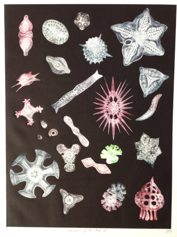 Treasures of the deep 2