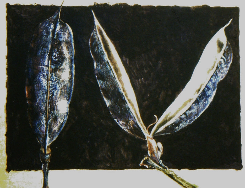 jane-furst-mixed-media-seedpods-vessels-of-new-life-legume-1