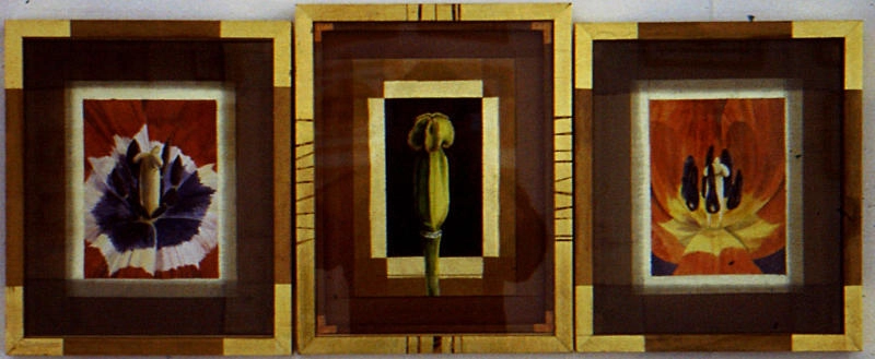 jane-furst-mixed-media-seedpods-vessels-of-new-life-tulip-triptych