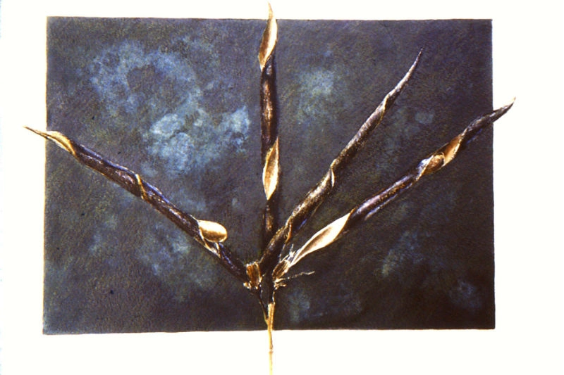 jane-furst-mixed-media-seedpods-vessels-of-new-life-common-vetch-I