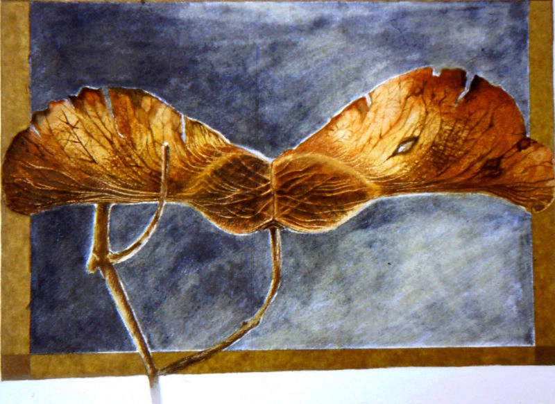 jane-furst-mixed-media-seedpods-vessels-of-new-life-maple-acer-III